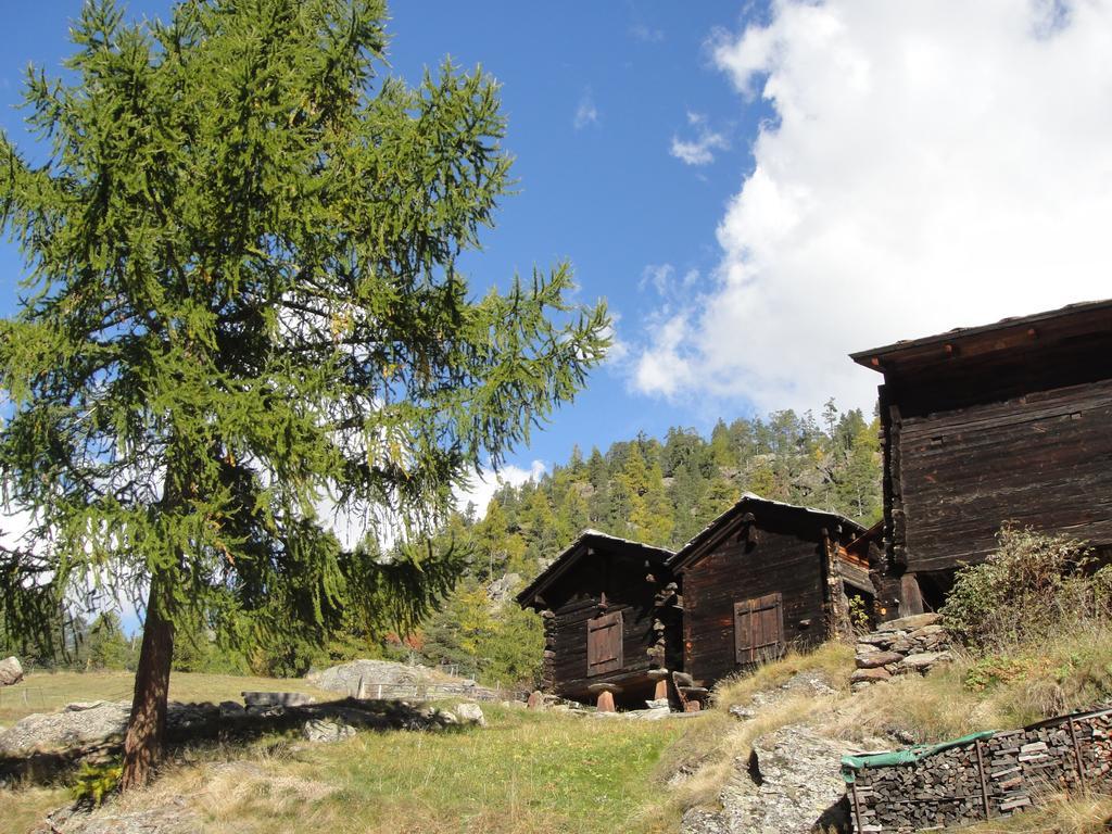 Appartamento Haus Alpenstern Saas-Grund Esterno foto