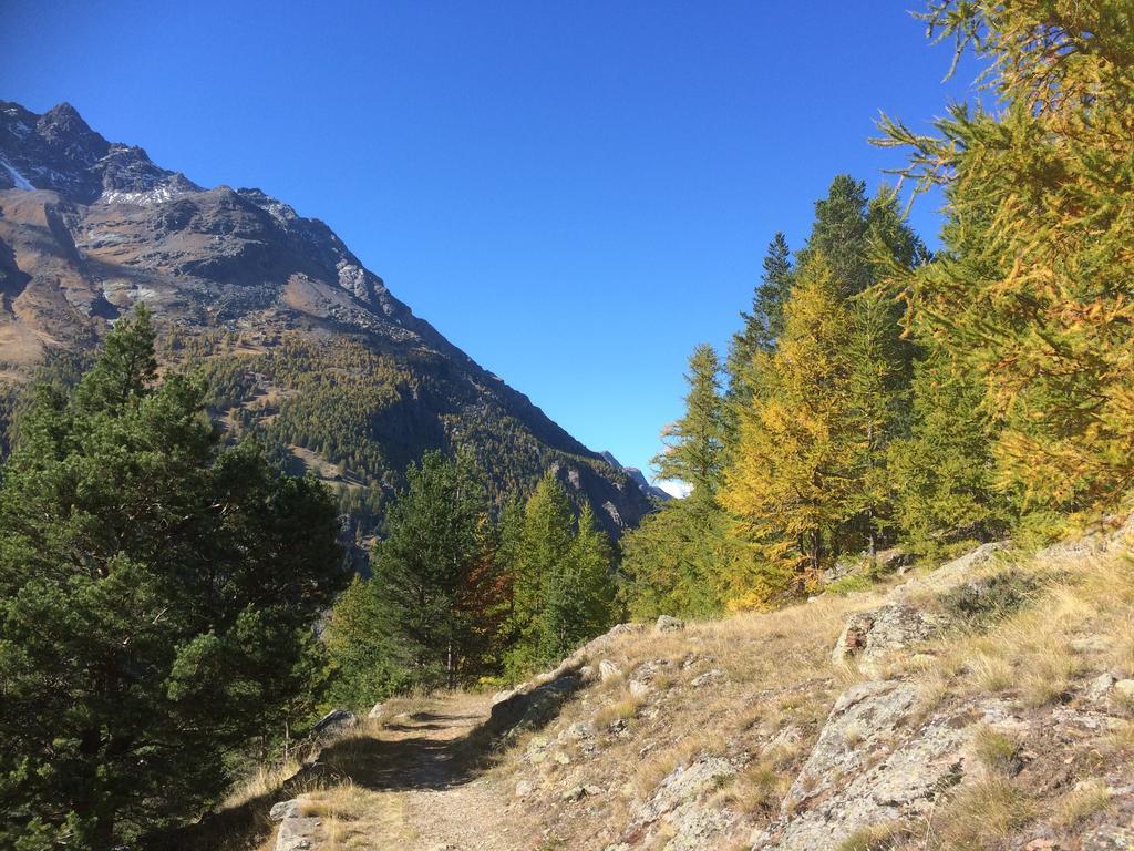 Appartamento Haus Alpenstern Saas-Grund Esterno foto