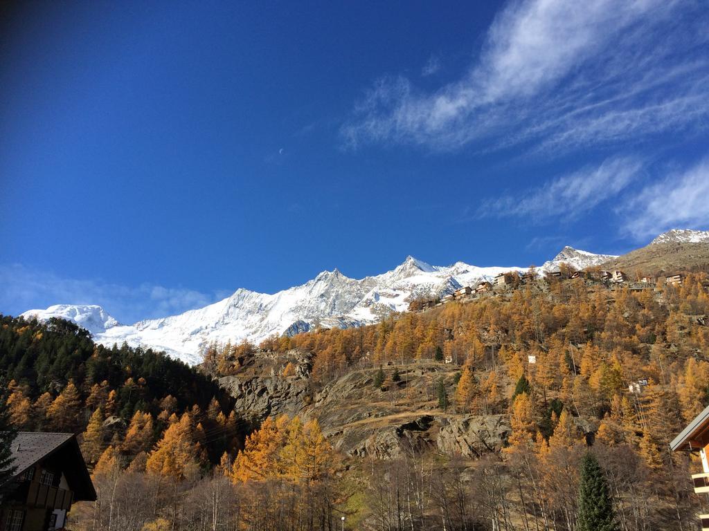 Appartamento Haus Alpenstern Saas-Grund Esterno foto