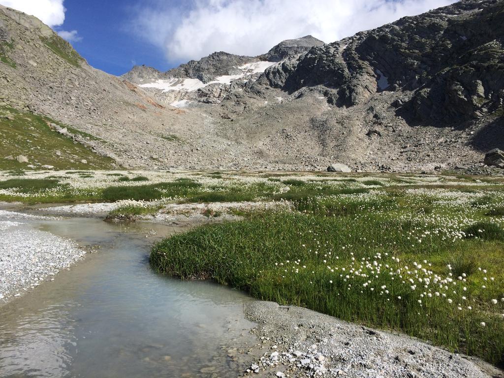 Appartamento Haus Alpenstern Saas-Grund Esterno foto
