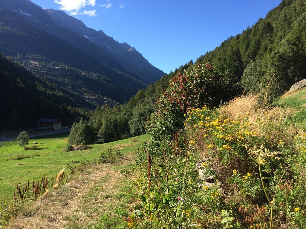 Appartamento Haus Alpenstern Saas-Grund Esterno foto