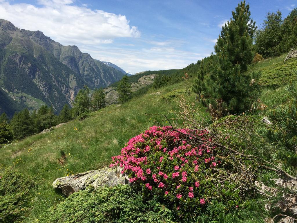 Appartamento Haus Alpenstern Saas-Grund Esterno foto