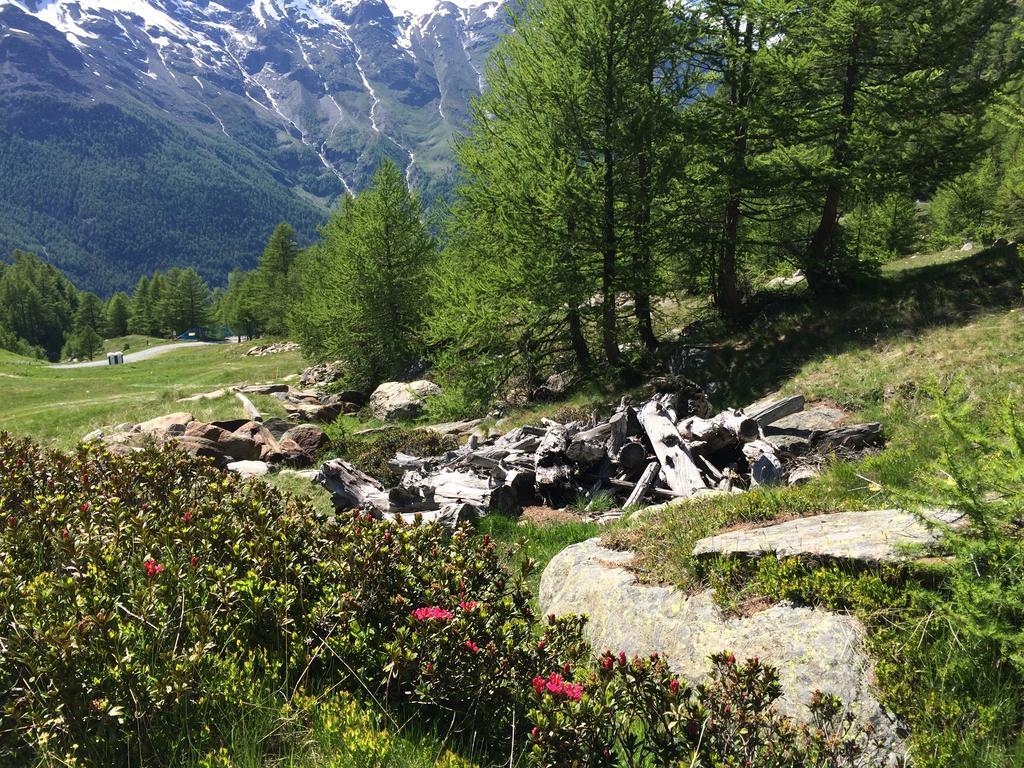 Appartamento Haus Alpenstern Saas-Grund Esterno foto