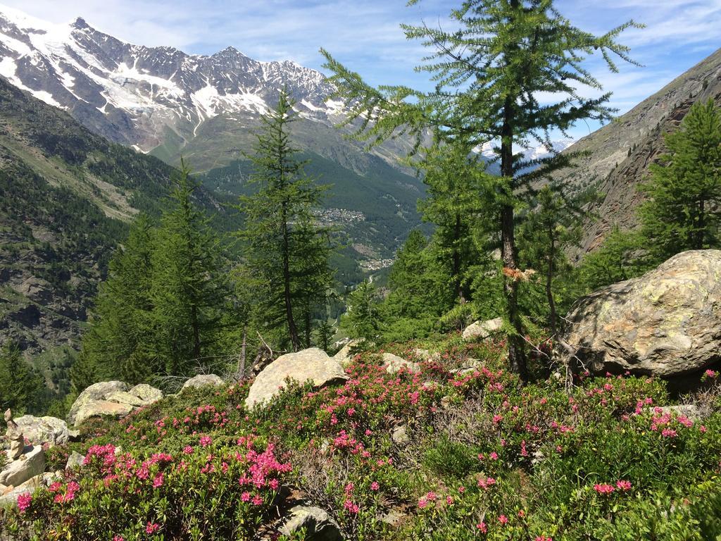 Appartamento Haus Alpenstern Saas-Grund Esterno foto